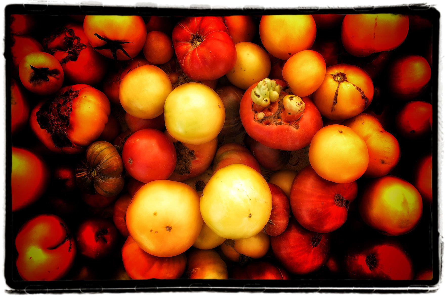 Farmers Market Produce